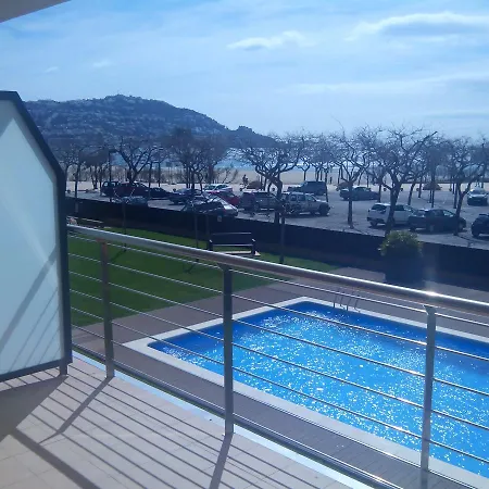 067 Milenium * Roses