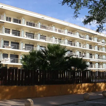 067 Milenium רוזס